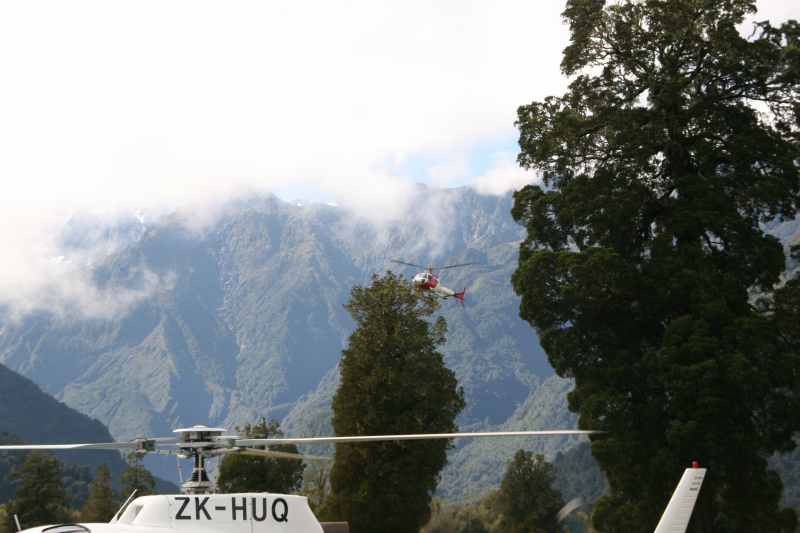 Nieuw-Zeeland 2011 - 1483